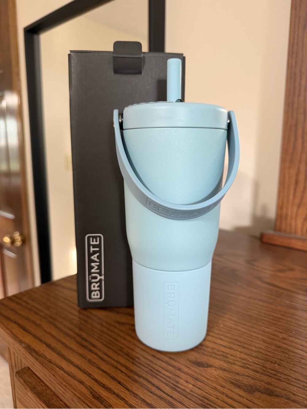 NIB Brumate Resa 25oz - Mist